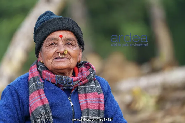 : Singalila national park, Woman at Jaubari village : Singalila national park, Woman at Jaubari village
