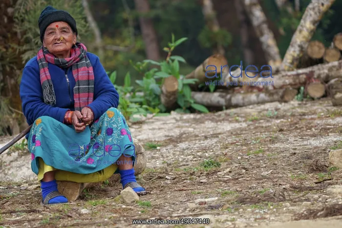 : Singalila national park, Woman at Jaubari village : Singalila national park, Woman at Jaubari village
