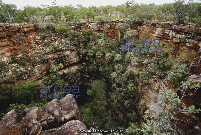 : Sinkhole in Australia : Sinkhole in Australia