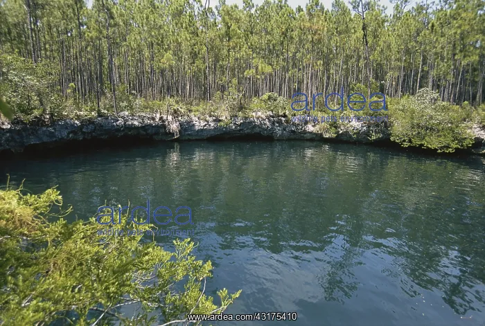 : Sinkhole in the Bahamas : Sinkhole in the Bahamas