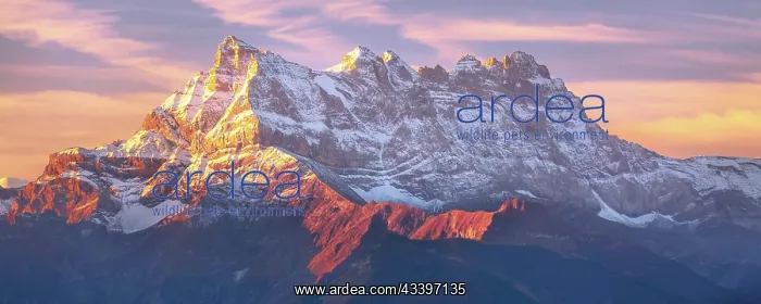 : Sinrise or sunset panoramic banner view of the Dents : Sinrise or sunset panoramic banner view of the Dents