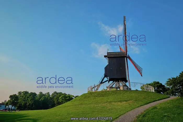 : Sint-Janshuismolen Sint-Janshuis Mill windmill i : Sint-Janshuismolen Sint-Janshuis Mill windmill i
