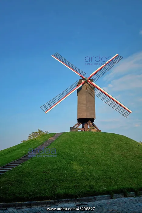  : Sint-Janshuismolen Sint-Janshuis Mill windmill i