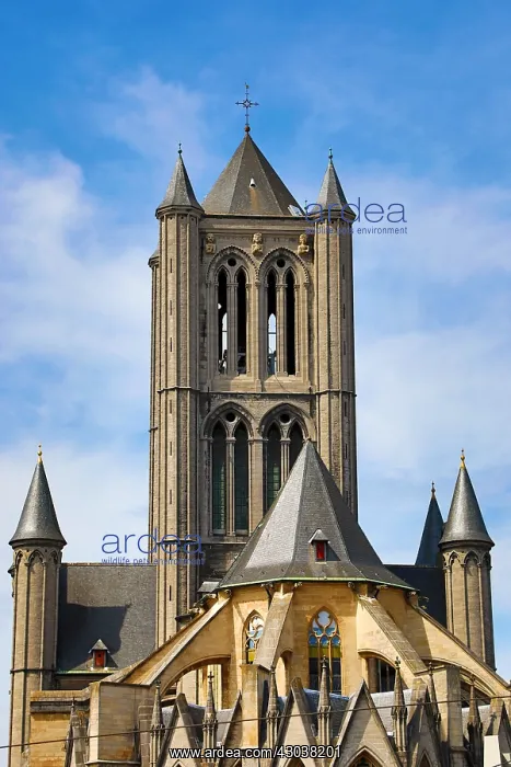 : Sint Niklaaskerk, Saint Nicholas Gothic style Church : Sint Niklaaskerk, Saint Nicholas Gothic style Church