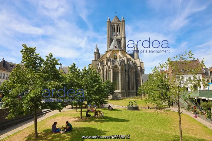 : Sint Niklaaskerk, Saint Nicholas Gothic style Church : Sint Niklaaskerk, Saint Nicholas Gothic style Church