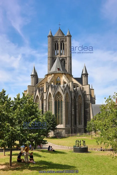: Sint Niklaaskerk, Saint Nicholas Gothic style Church : Sint Niklaaskerk, Saint Nicholas Gothic style Church