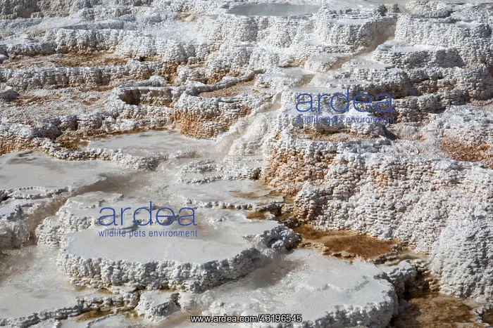 : Sinter terraces, hot springs, mineral deposits : Sinter terraces, hot springs, mineral deposits