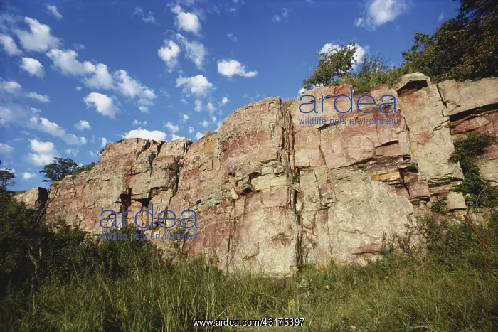 : Sioux Quartzite : Sioux Quartzite