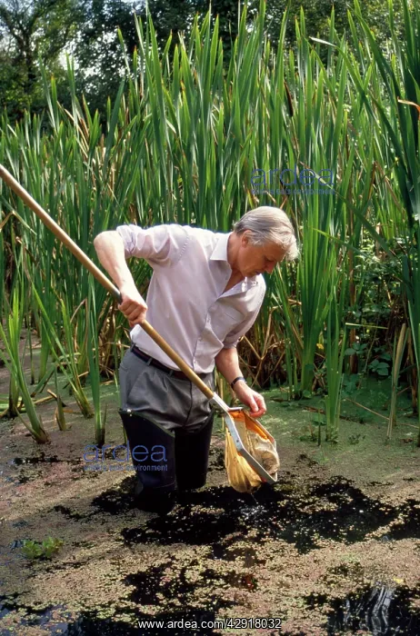  : Sir David Attenborough pond dipping
