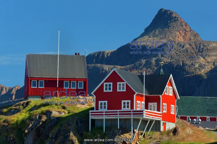  : Sisimiut colourful houses Summer