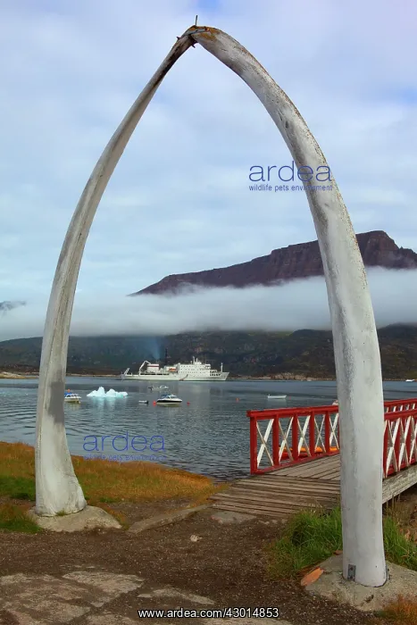 : Sisimiut Harbour entrance arch made of whale bones Summer : Sisimiut Harbour entrance arch made of whale bones Summer