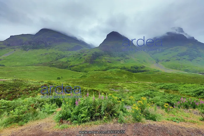  : The Three Sisters of Bidean nam Bian mountains