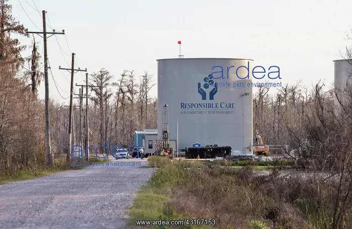 : Site of Texas Brine Sinkhole : Site of Texas Brine Sinkhole