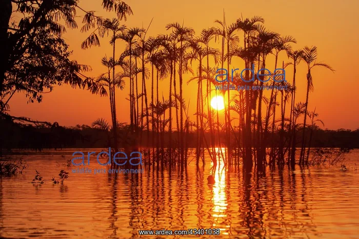 : Situated right on the equator in the Amazon rainforest : Situated right on the equator in the Amazon rainforest