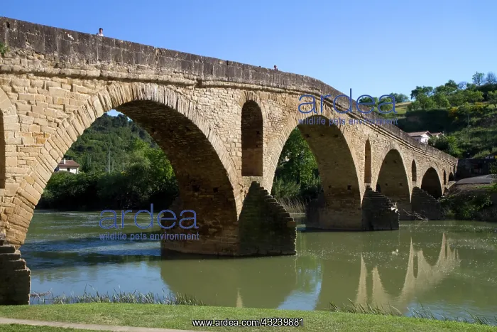 : Six-arched Roman bridge spanning the Arga : Six-arched Roman bridge spanning the Arga