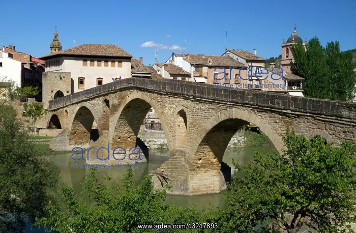  : Six-arched Roman bridge spanning the Arga