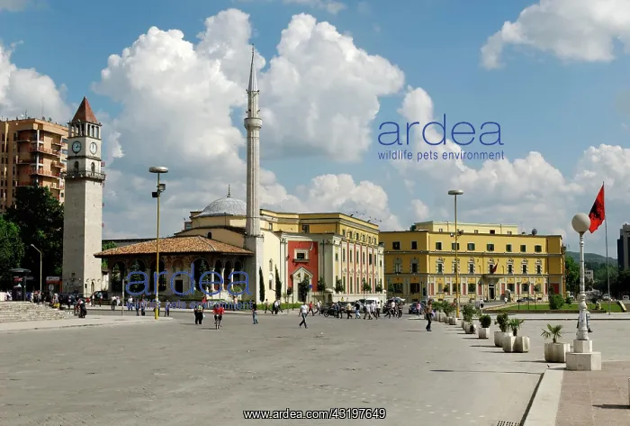: Skanderbeg Square in Tirana, Albania, Europe : Skanderbeg Square in Tirana, Albania, Europe