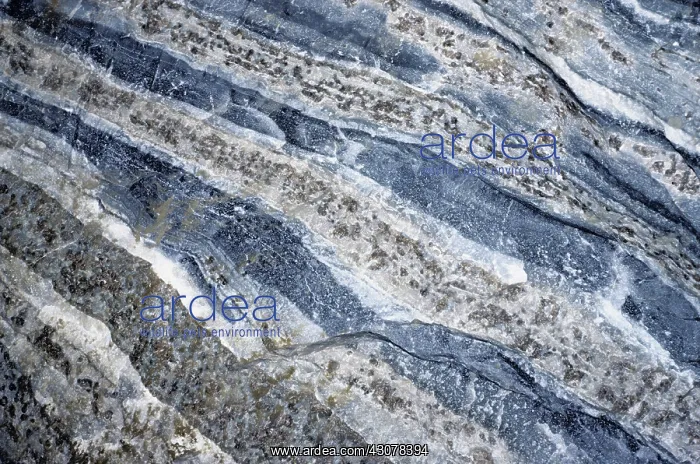 : Skarn with garnets at Dachang tin mine : Skarn with garnets at Dachang tin mine