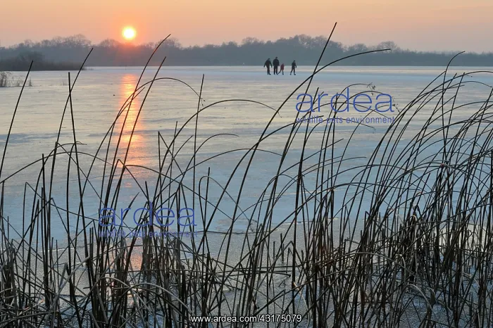  : Skaters on the ice of the Ankeveense Plassen