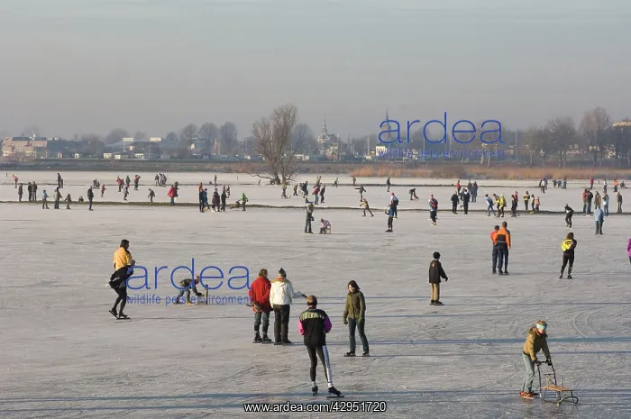 : Skating - On the frozen foreland of the river Zwartewater : Skating - On the frozen foreland of the river Zwartewater