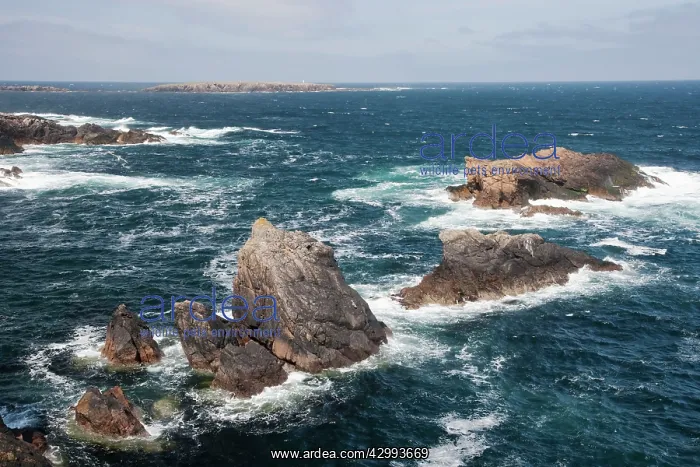 : Skaw - rocky coastline with Holm of Skaw in background : Skaw - rocky coastline with Holm of Skaw in background