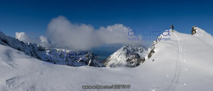 : Ski mountaineer on Pilan, Austv&, x59f8;y, Lofoten : Ski mountaineer on Pilan, Austv&, x59f8;y, Lofoten