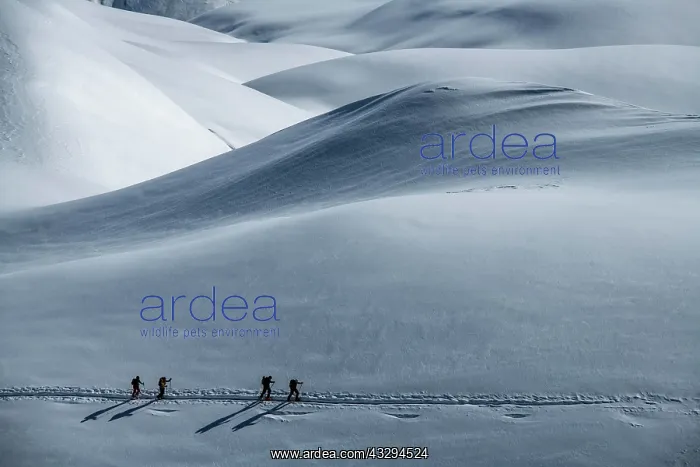 : Ski mountaineers in winter landscape, Sankt Ant&, x1aea65;n : Ski mountaineers in winter landscape, Sankt Ant&, x1aea65;n