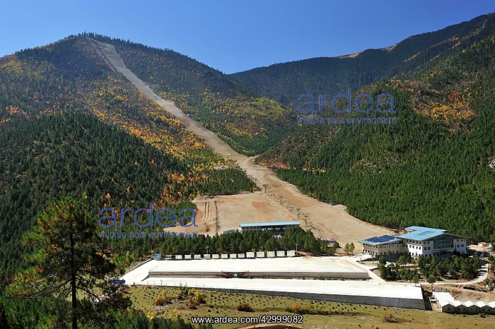 : Ski Piste - at the habitat of Yunnan Snub-nosed : Ski Piste - at the habitat of Yunnan Snub-nosed