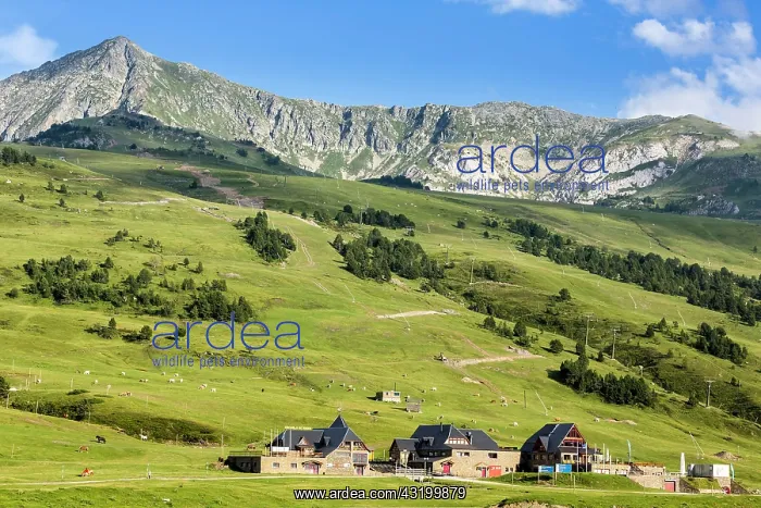 : Ski resort on the Pla de Beret plateau, Val d'Aran : Ski resort on the Pla de Beret plateau, Val d'Aran