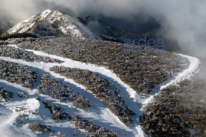 : Ski runs at Mount Buller Alpine Resort Mount Buller : Ski runs at Mount Buller Alpine Resort Mount Buller