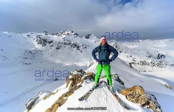 : Ski tourers in front of a snow-covered mountain : Ski tourers in front of a snow-covered mountain