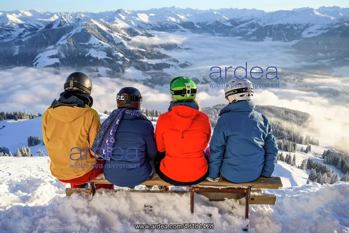 : Skiers sitting on a bench and looking down on snow-covered : Skiers sitting on a bench and looking down on snow-covered