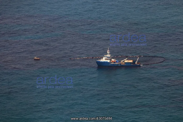  : Skimmer Boat at BP Oil Spill Site