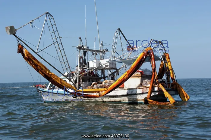  : Skimmer boats helping clean BP spill