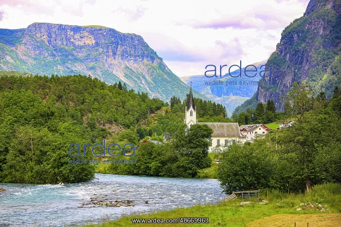 : Skjolden, Norway. Sognefjord, white steeple church in : Skjolden, Norway. Sognefjord, white steeple church in