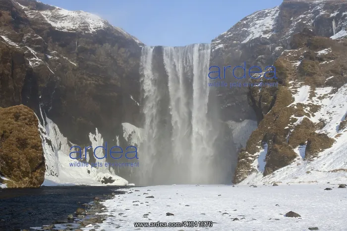 : Skogafoss Waterfall (63m high) in winter : Skogafoss Waterfall (63m high) in winter