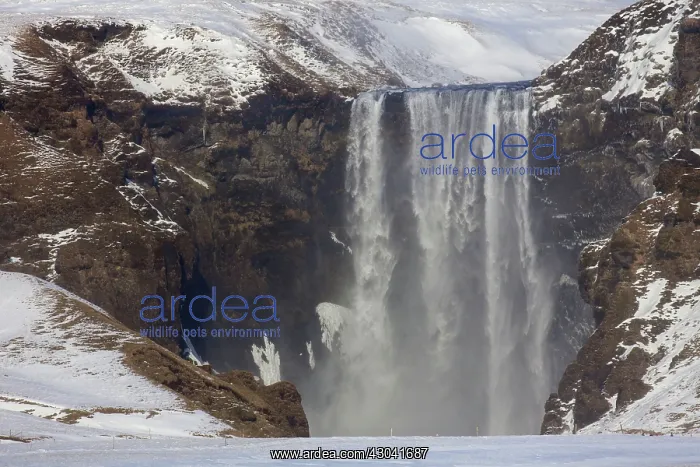 : Skogafoss Waterfall (63m high) in winter : Skogafoss Waterfall (63m high) in winter