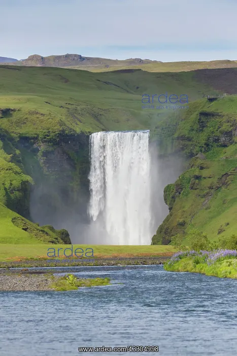 : Skogafoss waterfall - Iceland : Skogafoss waterfall - Iceland