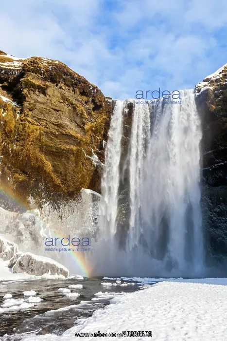: Skogafoss waterfall in Iceland, river, Skoga, Skoga : Skogafoss waterfall in Iceland, river, Skoga, Skoga