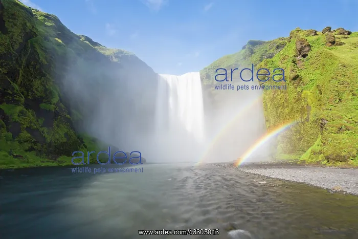 : Skogafoss waterfall with a rainbow - Iceland : Skogafoss waterfall with a rainbow - Iceland
