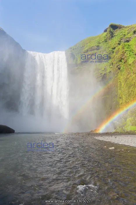 : Skogafoss waterfall with a rainbow - Iceland : Skogafoss waterfall with a rainbow - Iceland