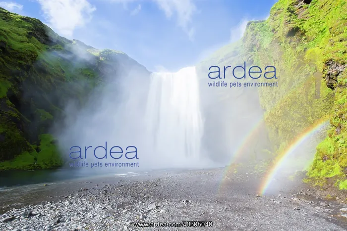 : Skogafoss waterfall with a rainbow - Iceland : Skogafoss waterfall with a rainbow - Iceland