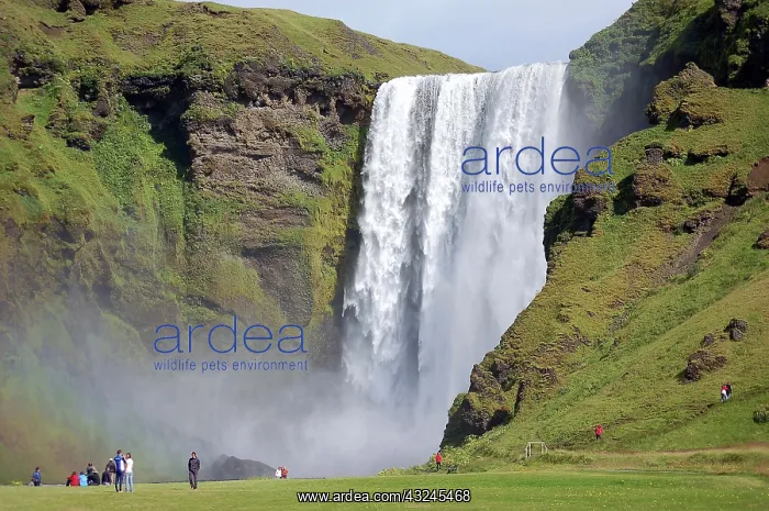  : Skogafoss waterfall, Skogar, Iceland