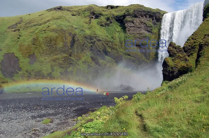 : Skogafoss waterfall, Skogar, Iceland : Skogafoss waterfall, Skogar, Iceland