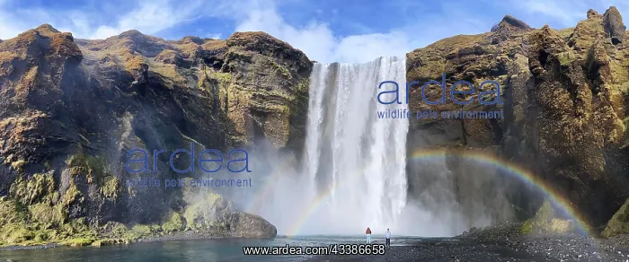 : Skogafoss Waterfall on the South Coast of Iceland : Skogafoss Waterfall on the South Coast of Iceland