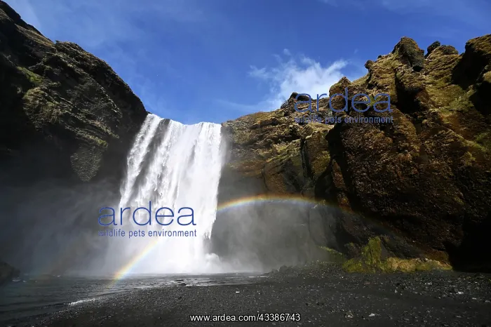  : Skogafoss Waterfall on the South Coast of Iceland