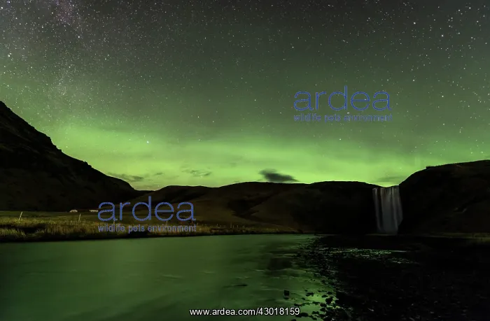 : Skogafoss Waterfalls at night with reflection of : Skogafoss Waterfalls at night with reflection of