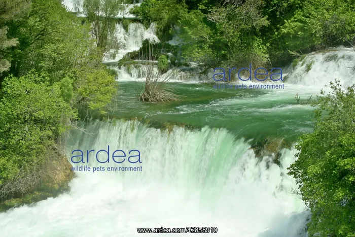 : Skradinski Buk - upper area of Skradinski Buk waterfall : Skradinski Buk - upper area of Skradinski Buk waterfall