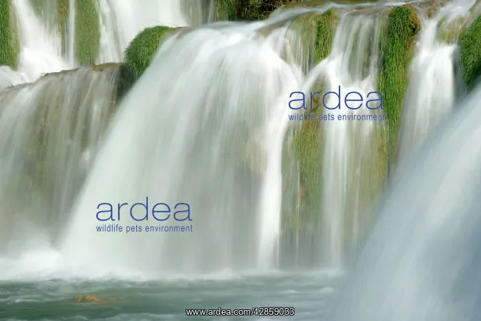 : Skradinski Buk - water mass of lowest step of waterfall : Skradinski Buk - water mass of lowest step of waterfall