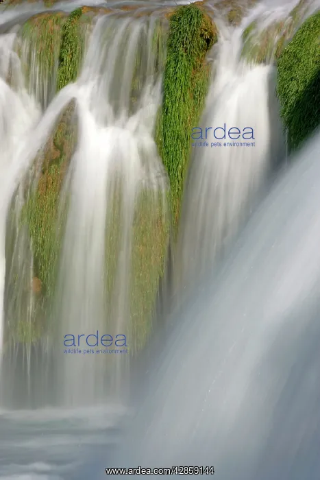 : Skradinski Buk - water mass of lowest step of waterfall : Skradinski Buk - water mass of lowest step of waterfall